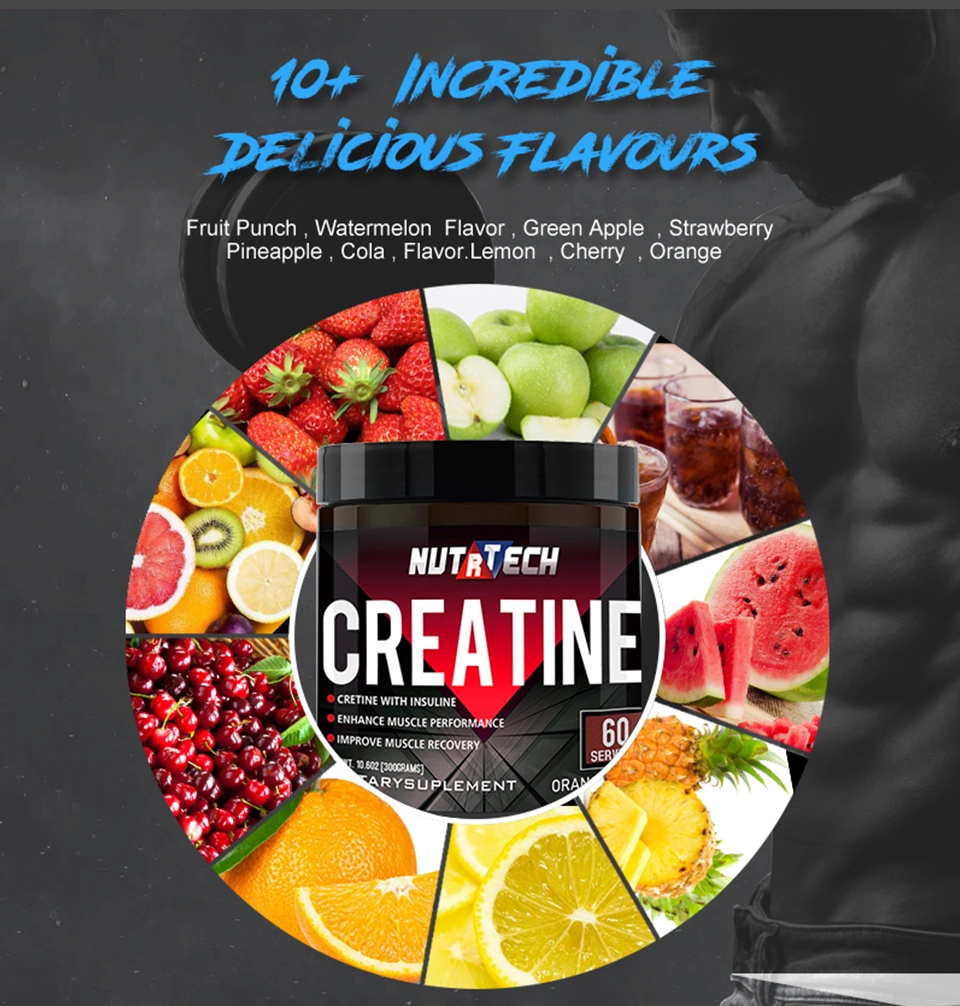 Wholesale Sports Nutrition Creatine, Bulk Pure Creatine Monohydrate